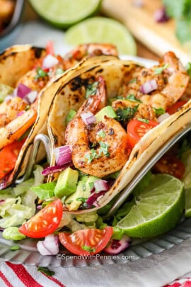 close up of Shrimp Tacos