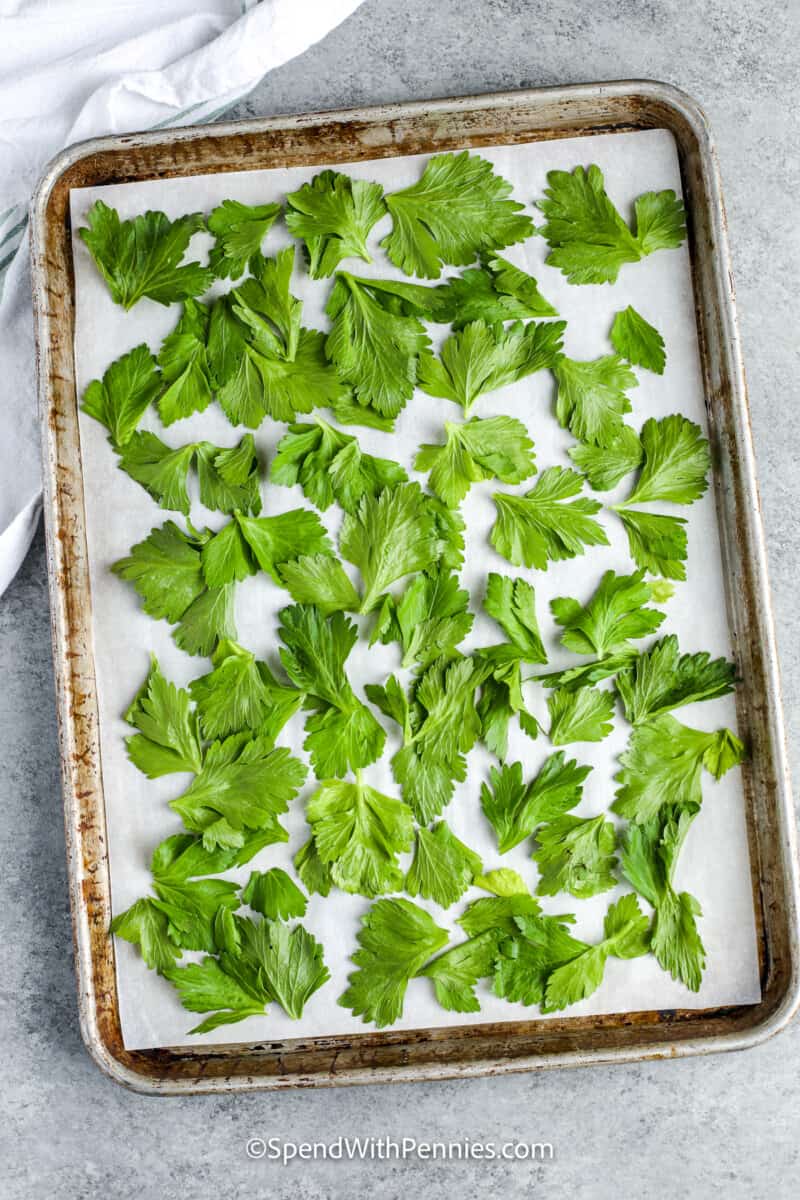 celery leaves on a baking dish