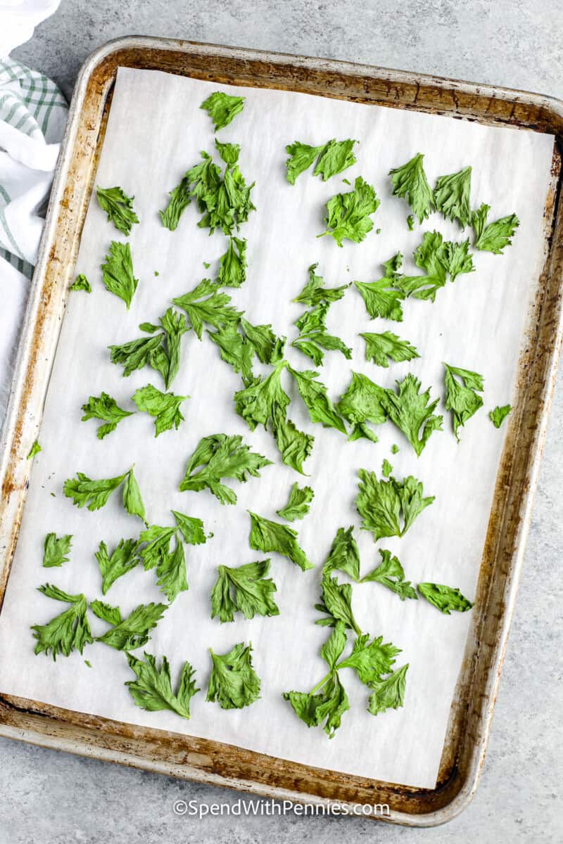 dried celery leaves on a baking sheet