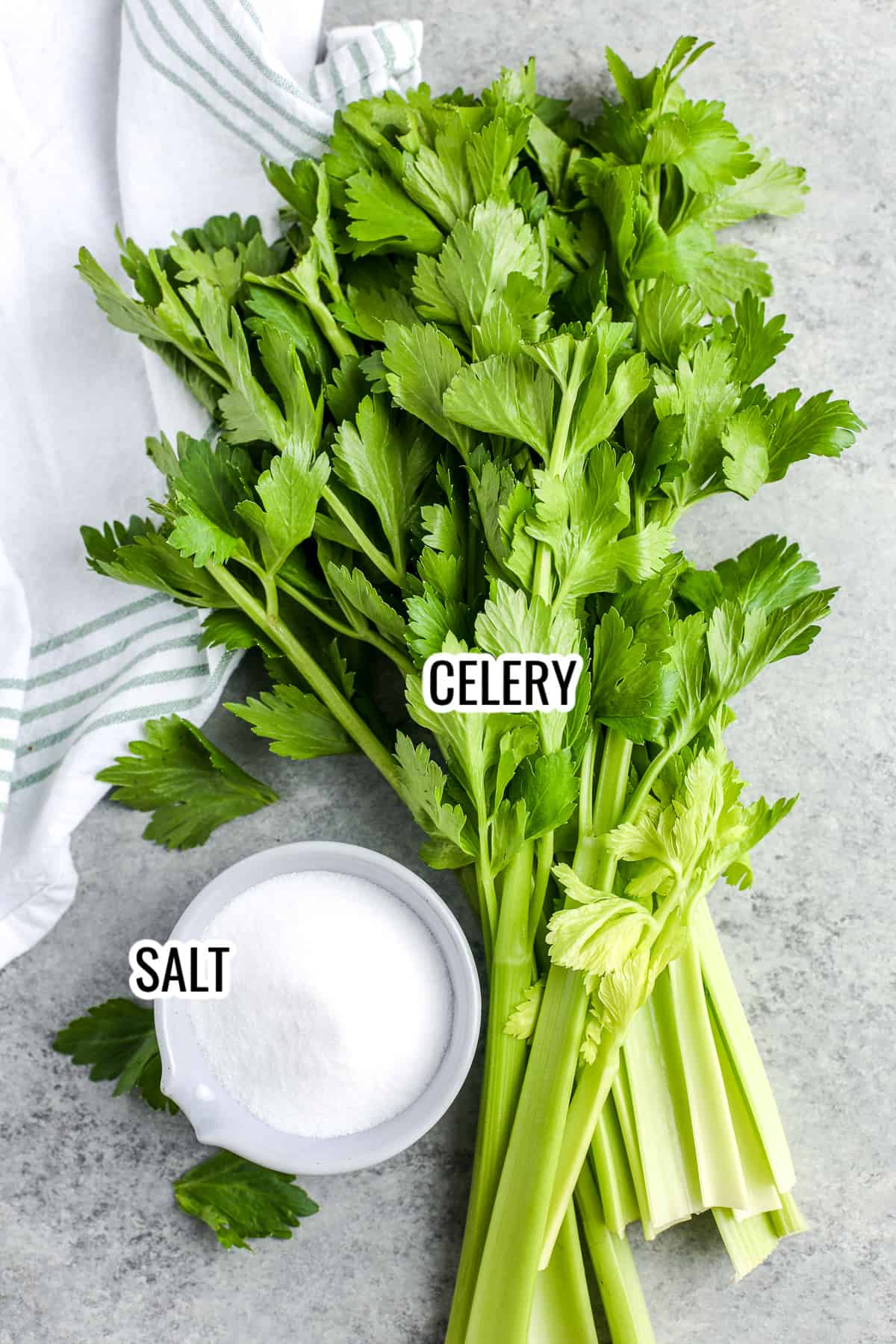 ingredients assembled to make celery salt, including celery and salt