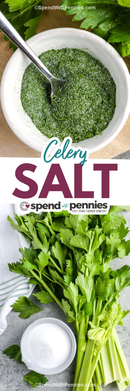 celery salt and ingredients with text