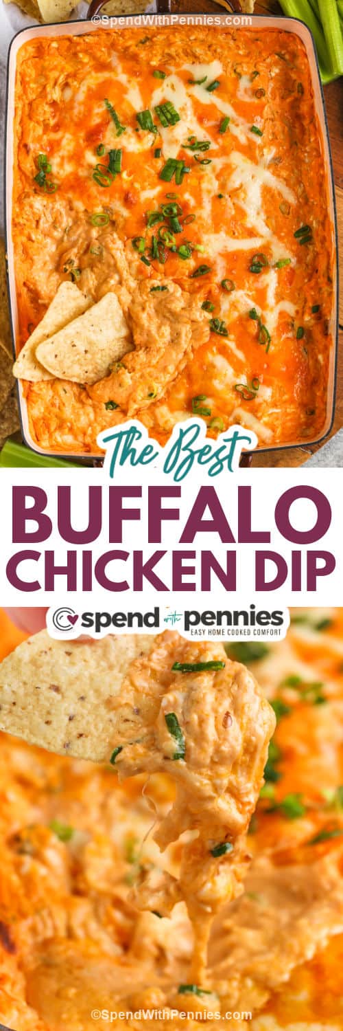 The Best Buffalo Chicken Dip in the dish and on a chip with a title