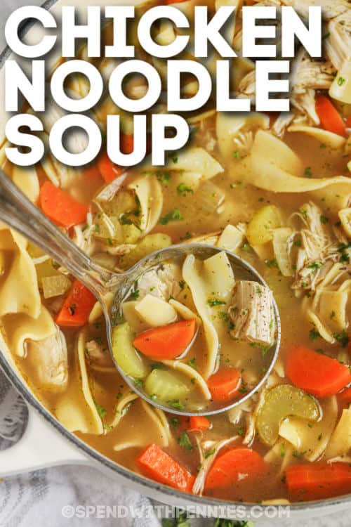 Homemade Chicken Noodle Soup in a pot with writing