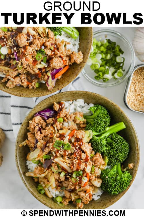 top view of Sesame Ground Turkey Bowls with writing