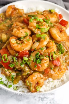 Shrimp Etouffee on a white plate with rice