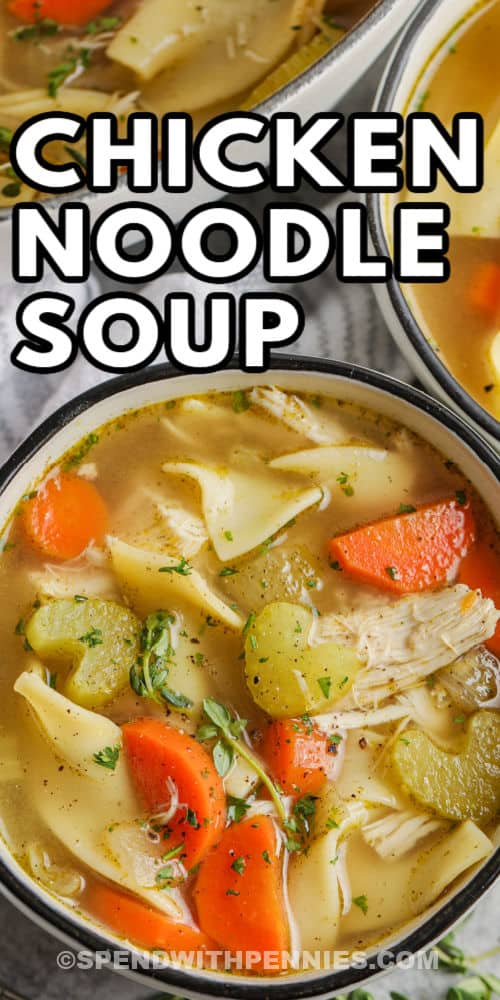 close up of Homemade Chicken Noodle Soup with a title