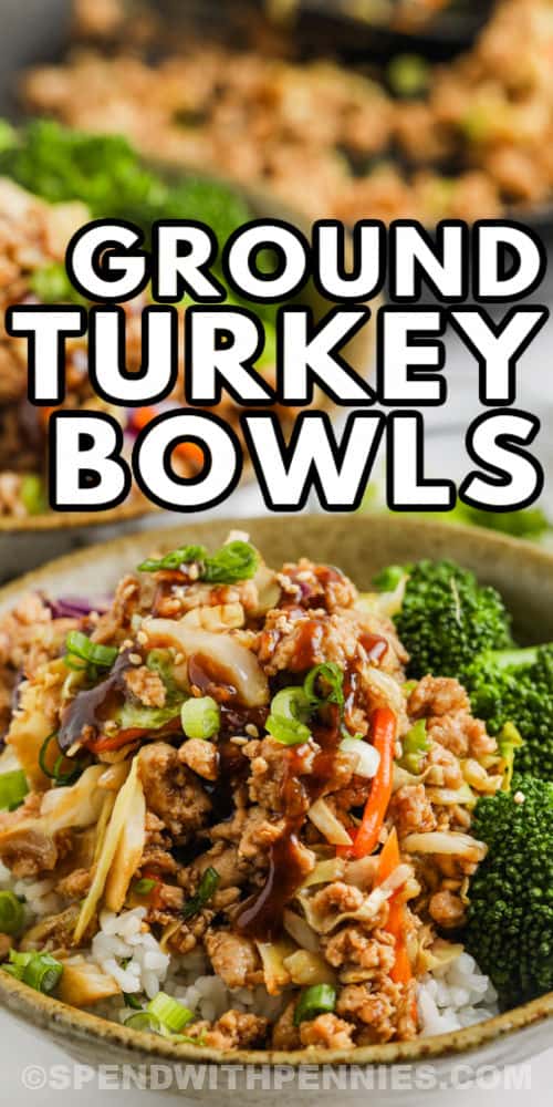 close up of Sesame Ground Turkey Bowls with a title